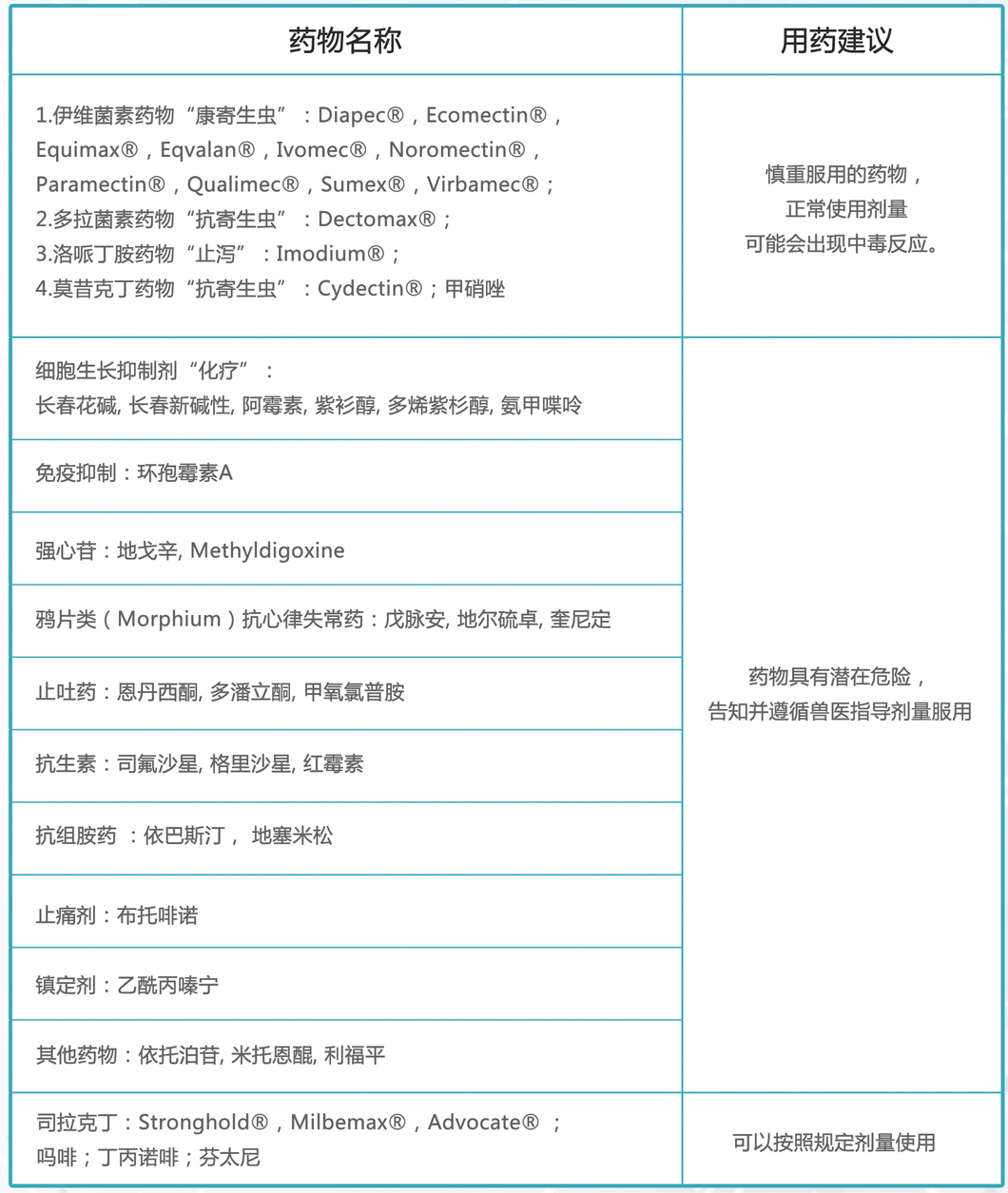 圖片.png