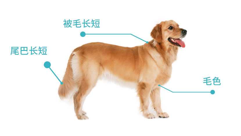 圖片.png