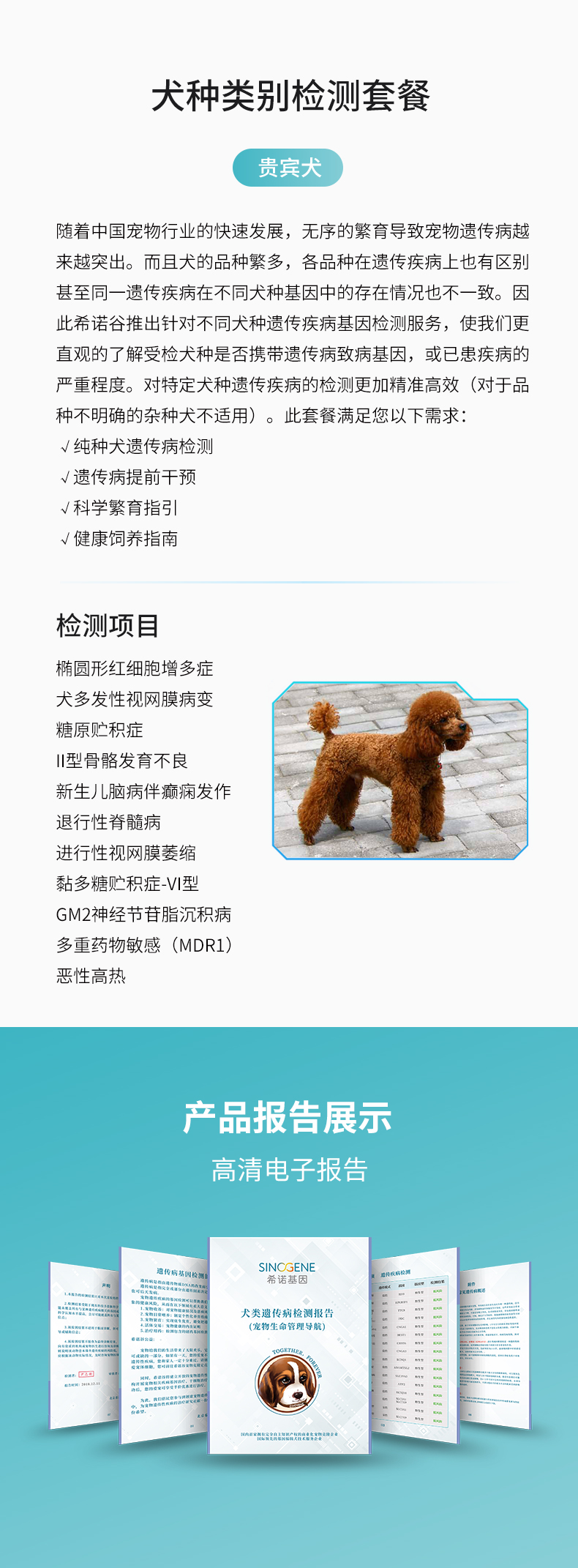 貴賓.jpg