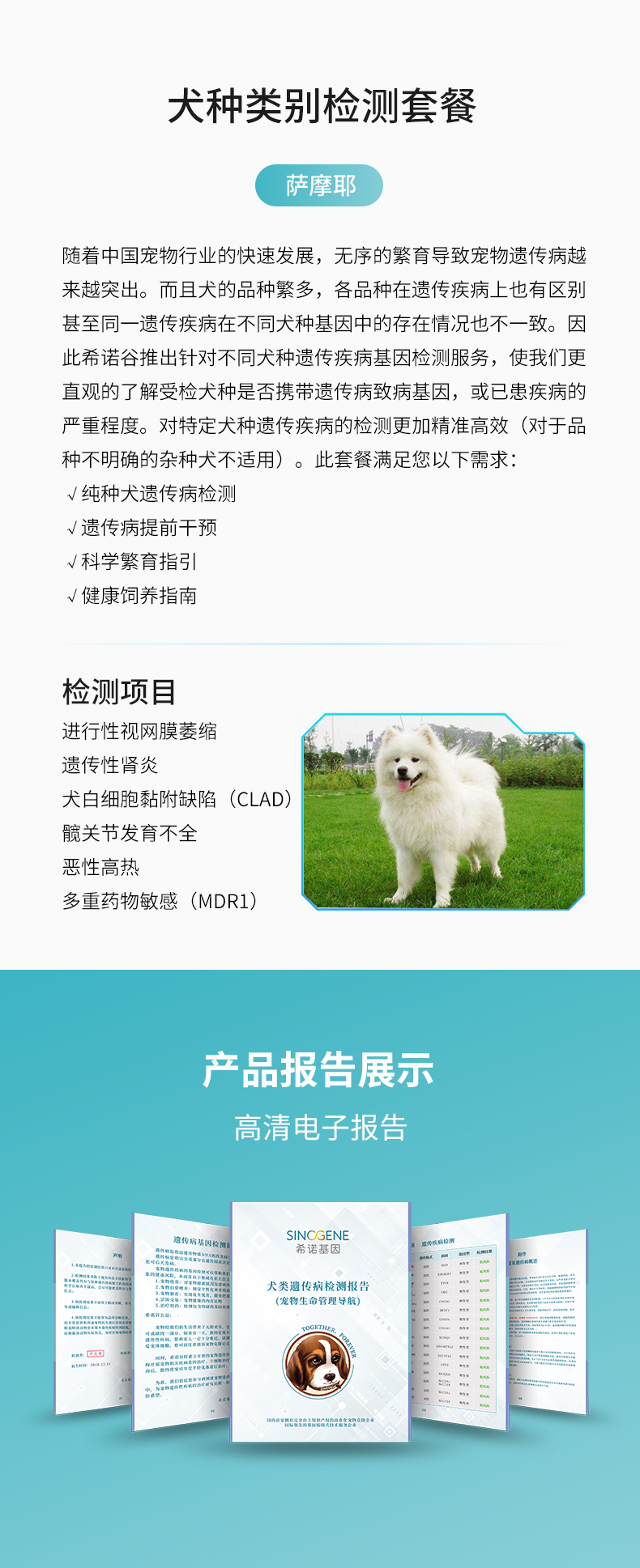 薩摩.jpg
