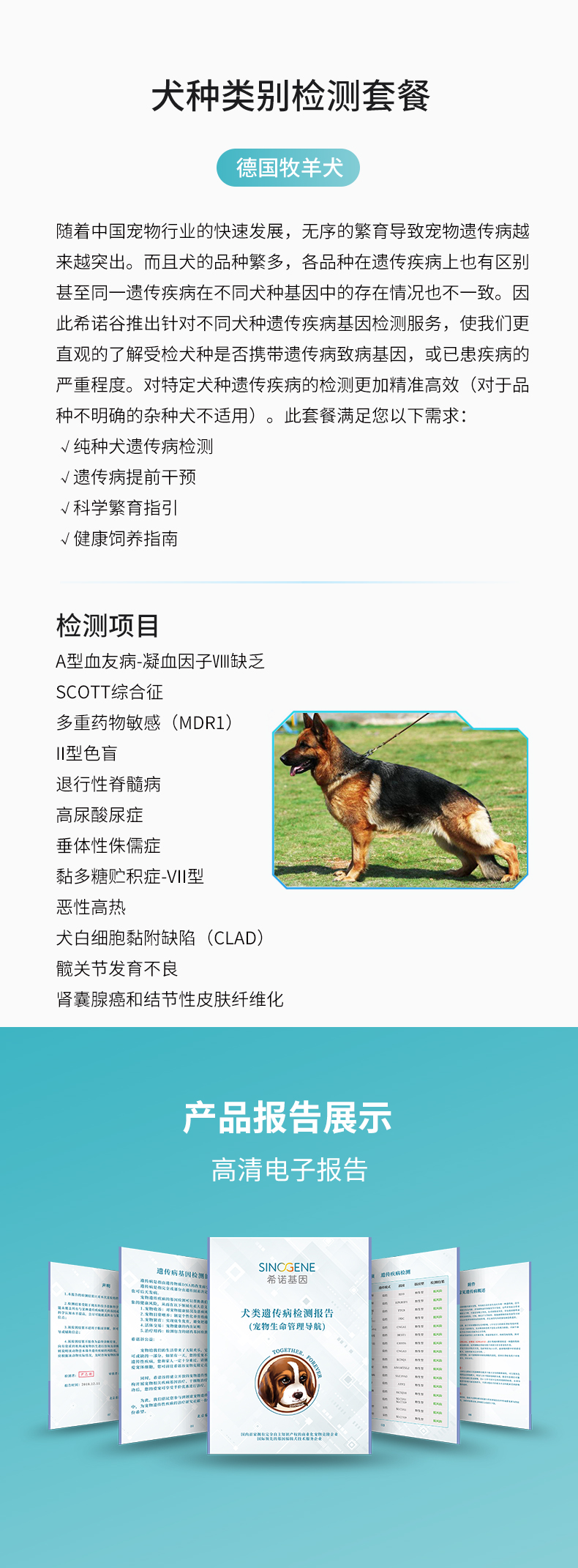 德牧.jpg