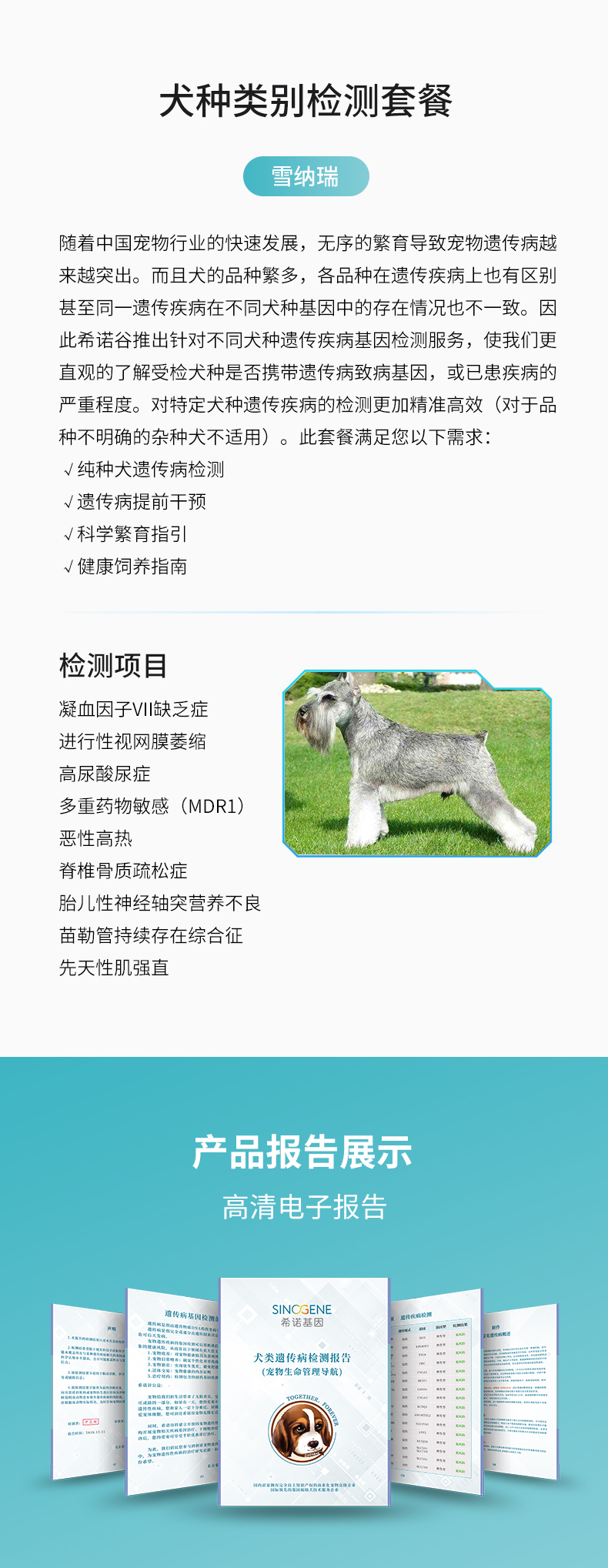 雪納瑞.jpg