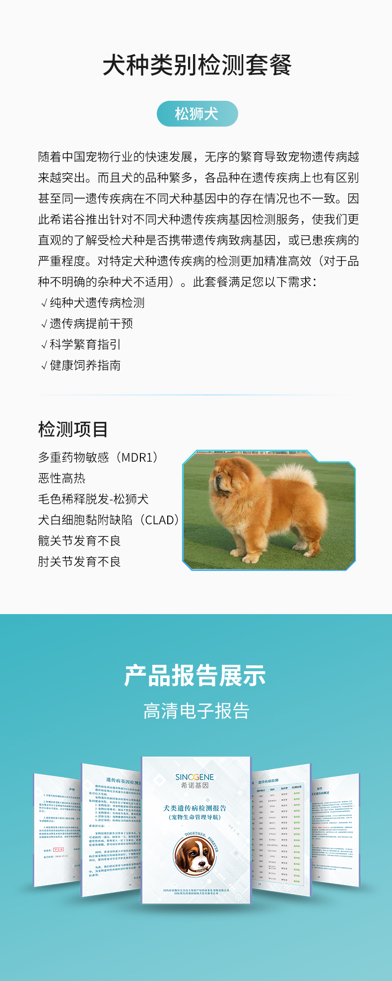 松獅.jpg