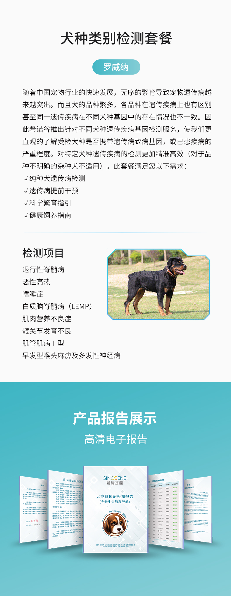 羅威納.jpg