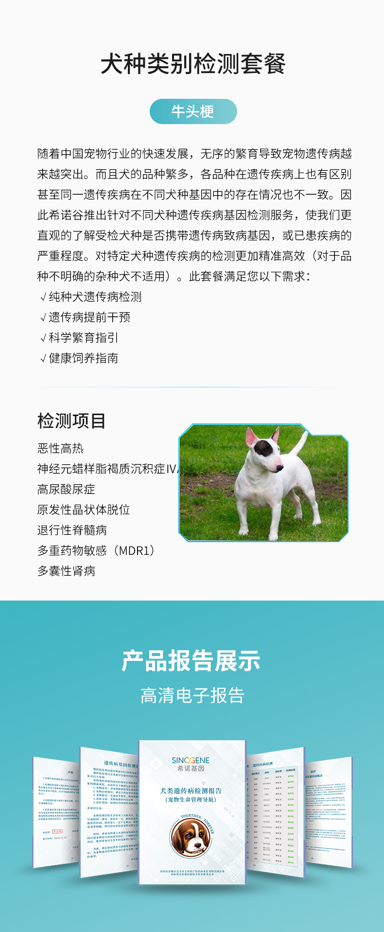 牛頭梗.jpg