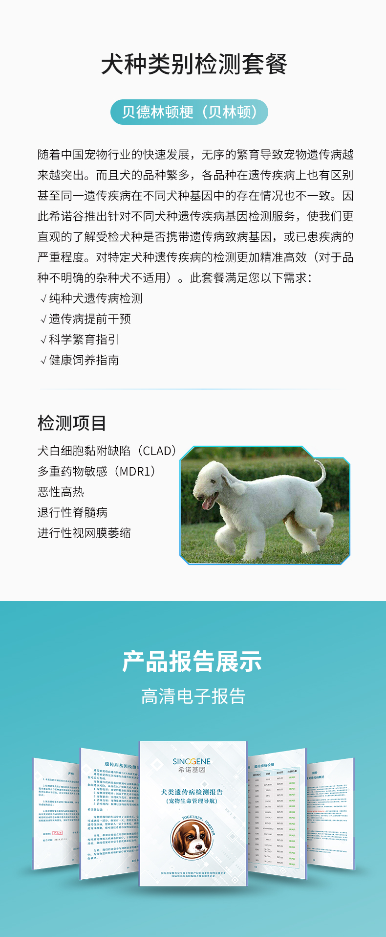 貝林頓.jpg