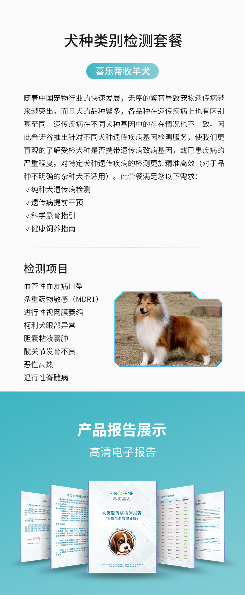 喜樂蒂.jpg