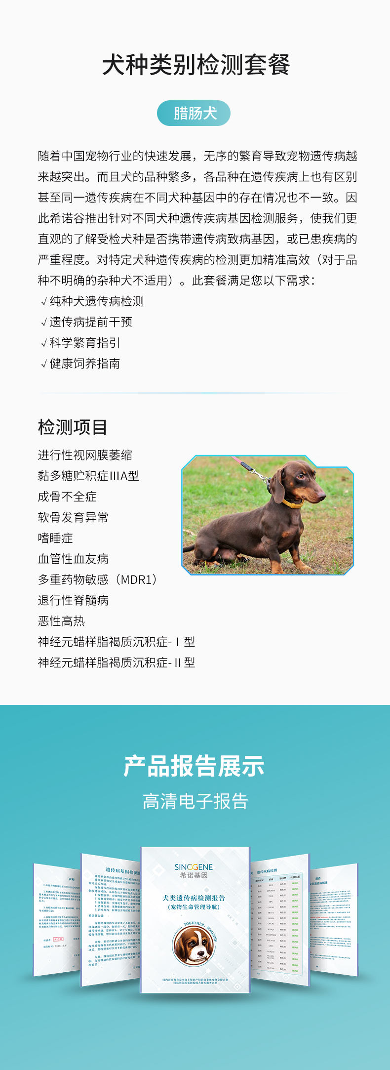 臘腸犬.jpg