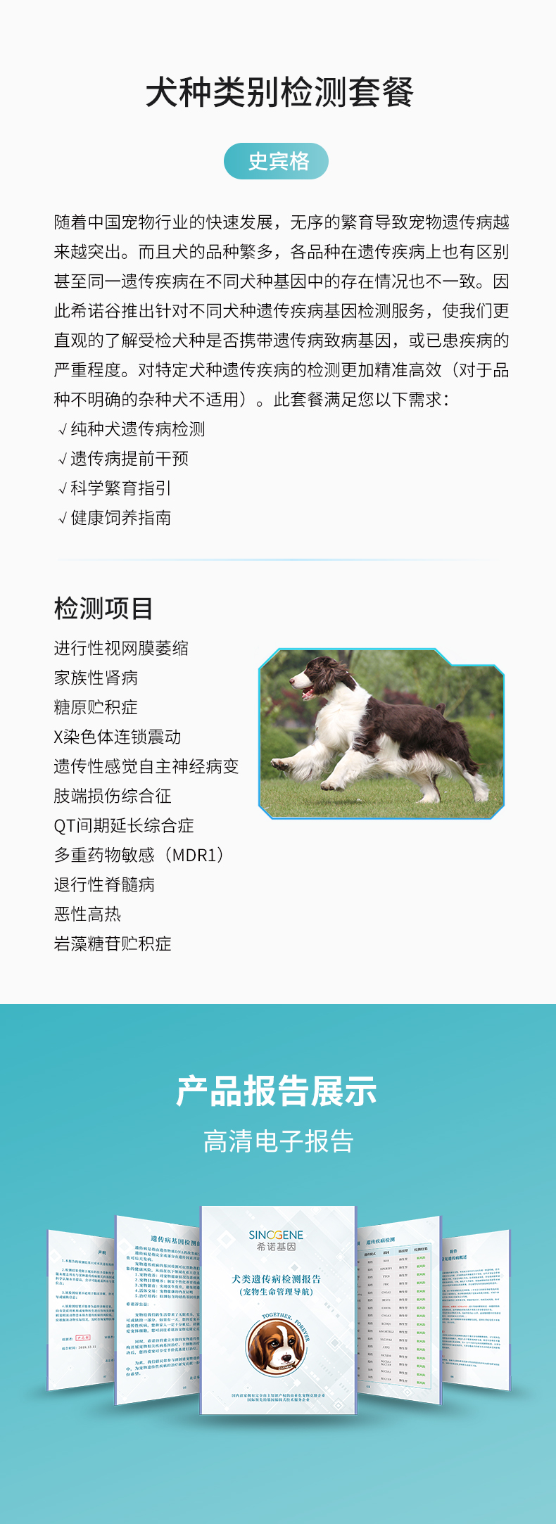 史賓格.jpg