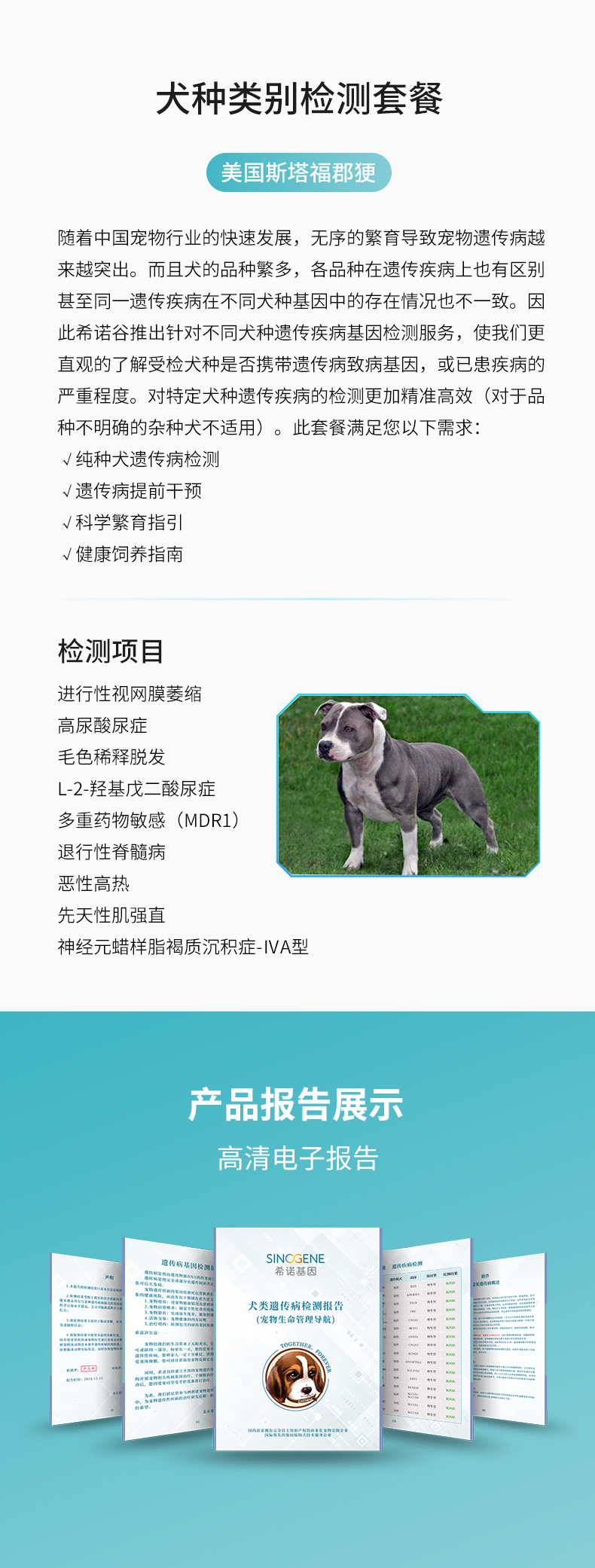 美國斯塔?？?.jpg