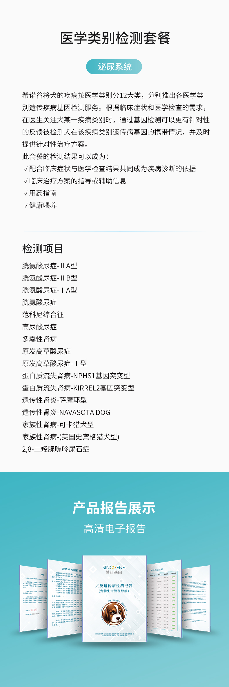 泌尿系統(tǒng).jpg