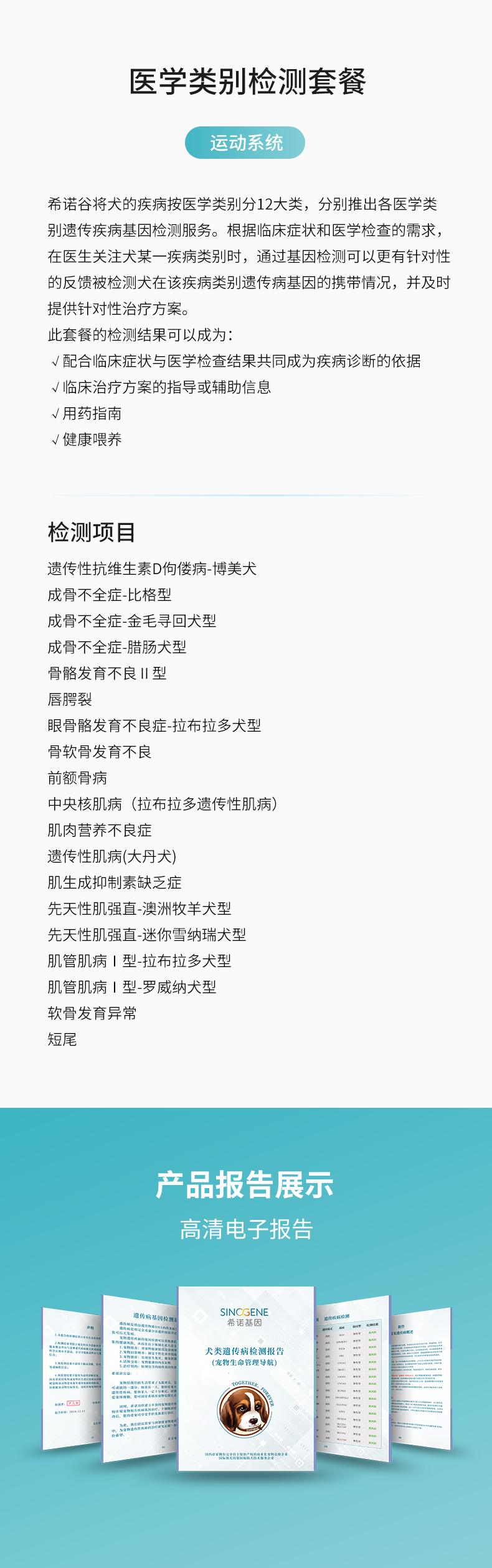 運(yùn)動(dòng)系統(tǒng).jpg