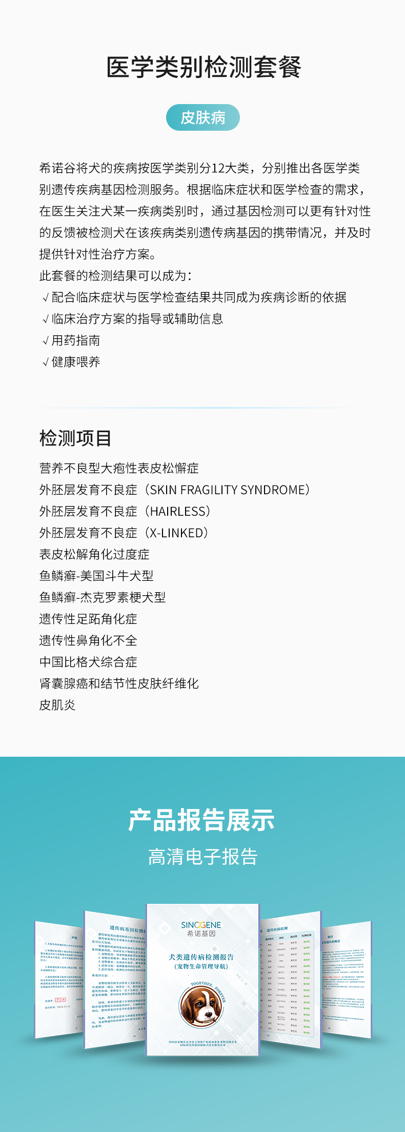皮膚病.jpg