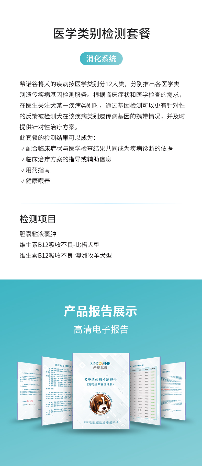 消化系統(tǒng).jpg