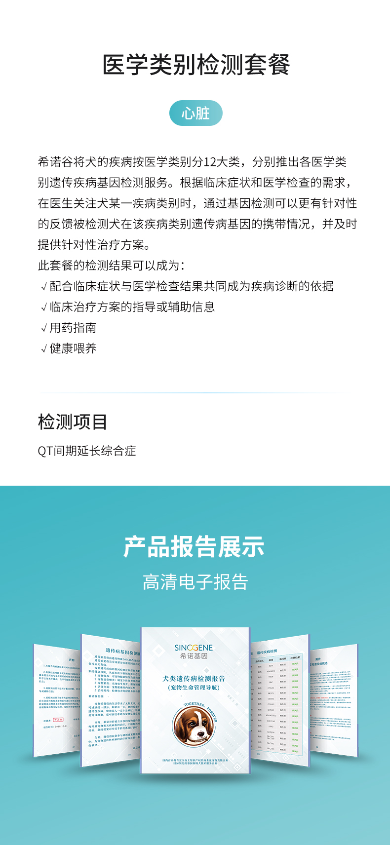 心臟.jpg