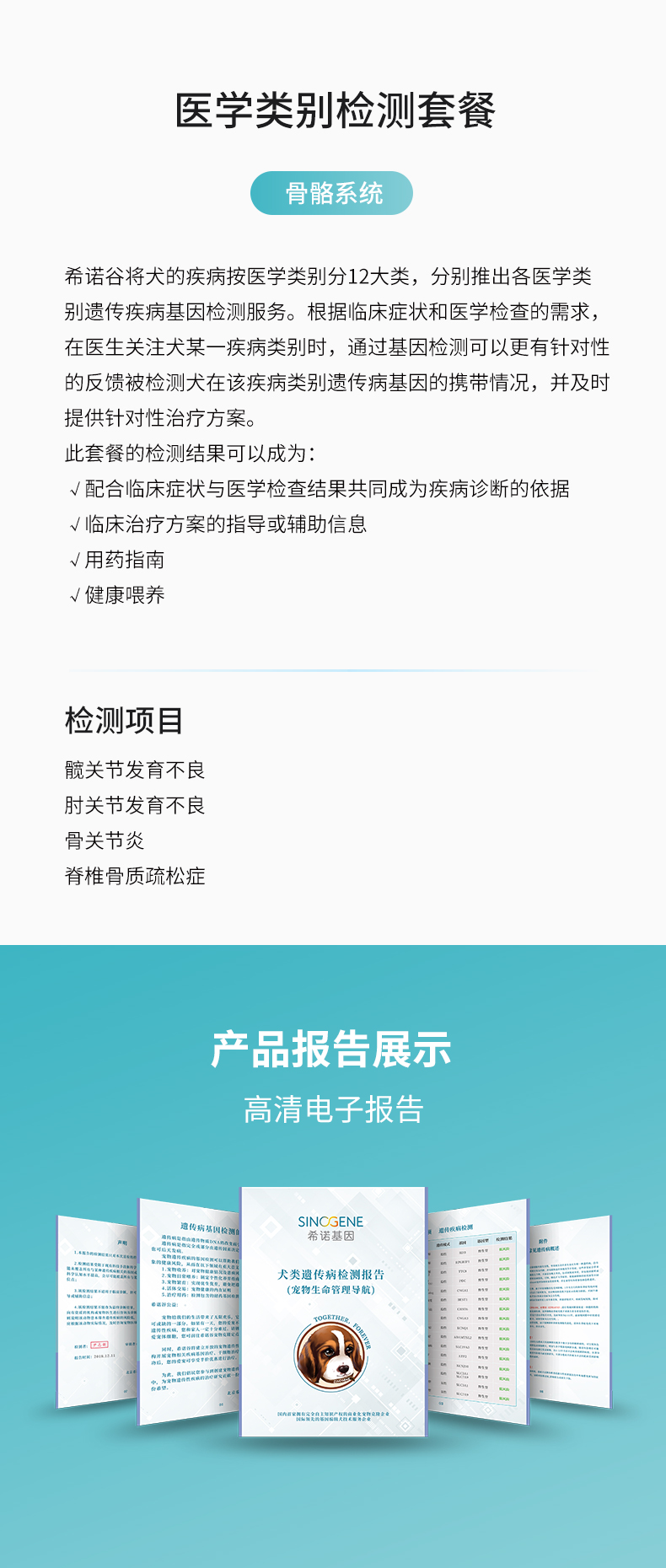 骨骼系統(tǒng).jpg