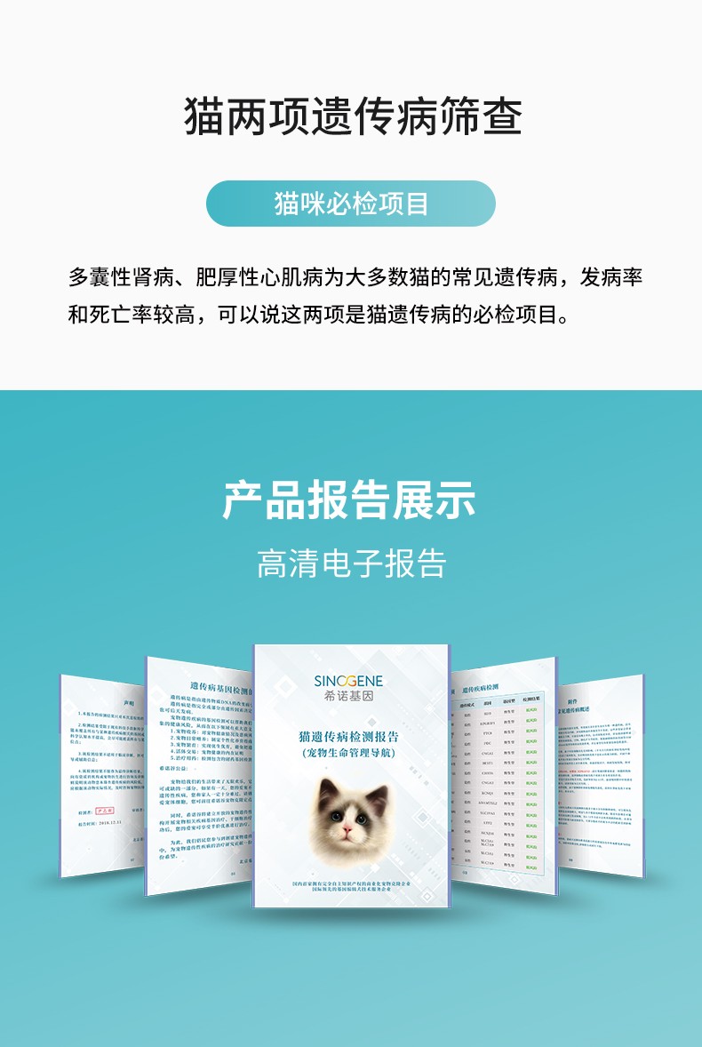 貓兩項.jpg