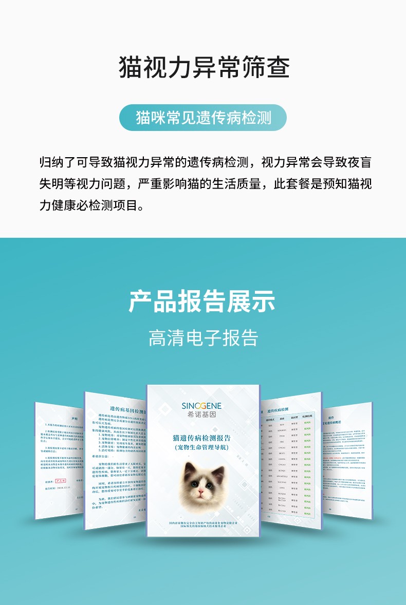 貓視力異常.jpg