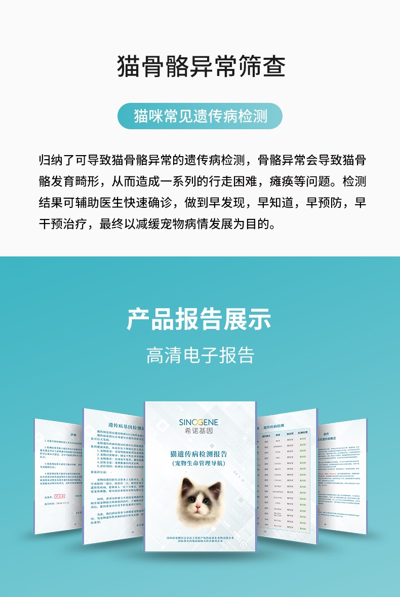 貓骨骼異常.jpg
