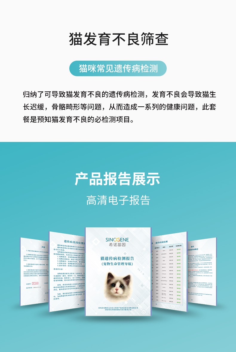 貓發(fā)育不良.jpg