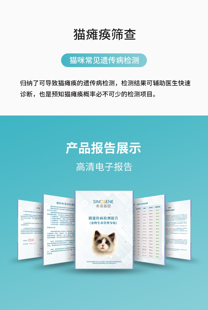 貓癱瘓.jpg